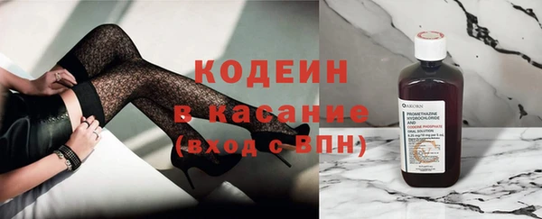 индика Баксан
