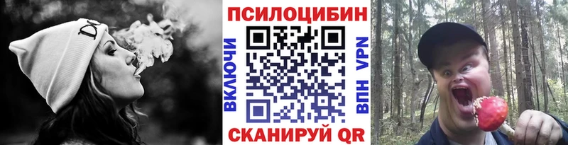 Галлюциногенные грибы мицелий  blacksprut онион  Сегежа 