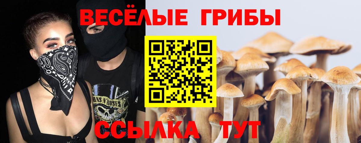 Галлюциногенные грибы мухоморы Сегежа